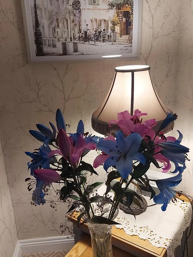 Couette-café Blackrock Carole Ville Guesthouse Cork
